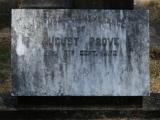 image of grave number 865748